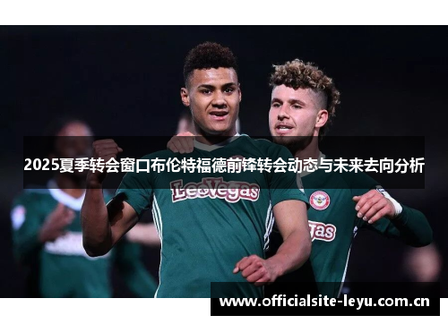 2025夏季转会窗口布伦特福德前锋转会动态与未来去向分析 2025夏季转会窗口布伦特福德前锋转会动态与未来去向分析